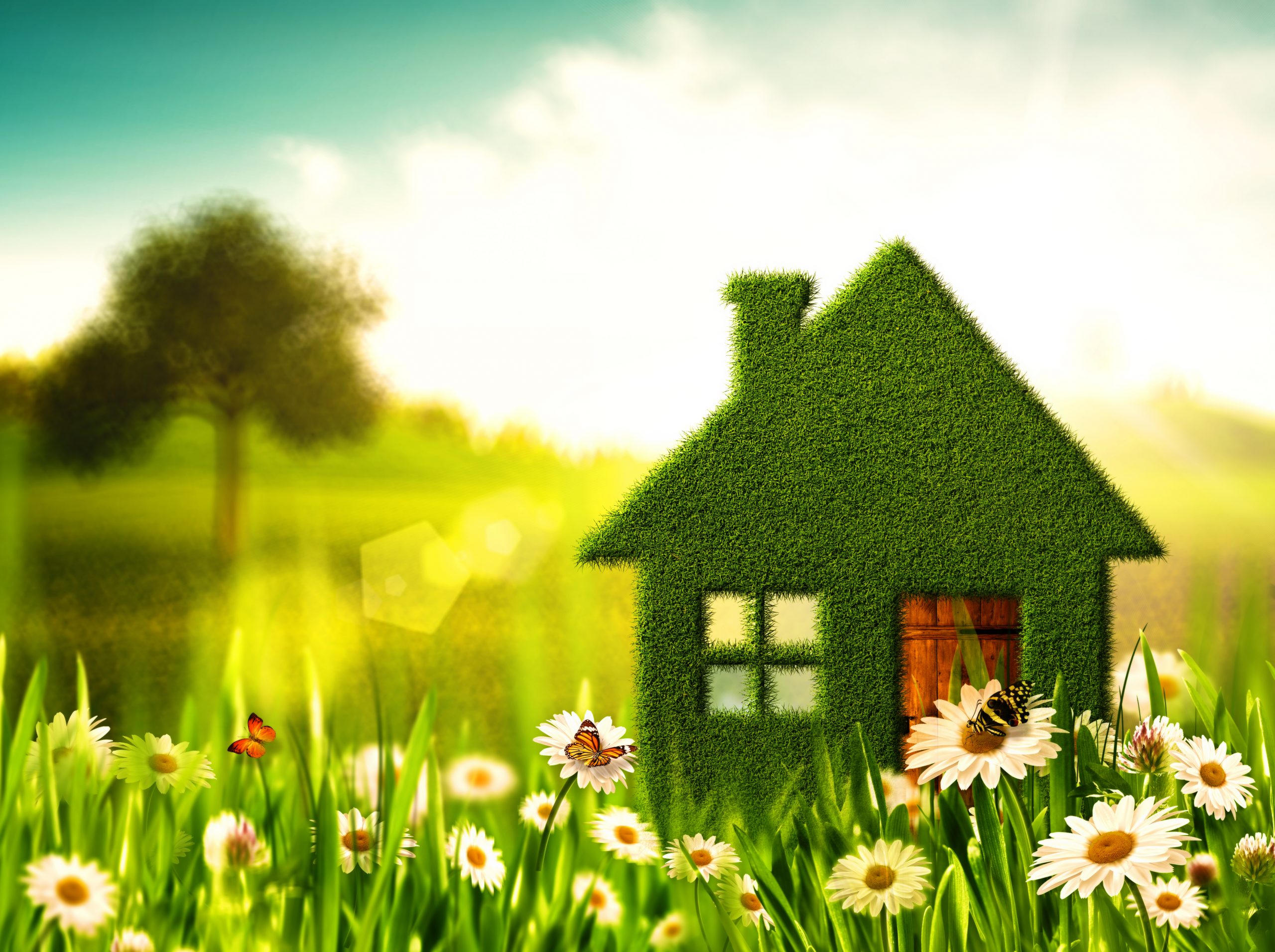 CLEANING CLEANER SERVICE MAID HOUSEKEEPING SERVICE SUFFOLK